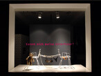 Showcase